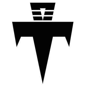 Temumusic logo